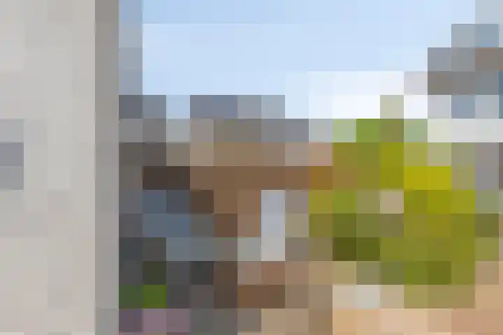 Javalaan 3 Zoetermeer thumbnail 29