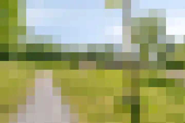 Javalaan 3 Zoetermeer thumbnail 33