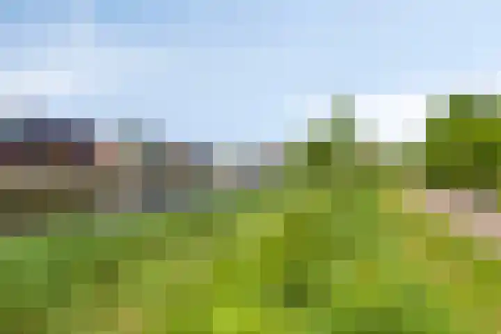 Javalaan 3 Zoetermeer thumbnail 34