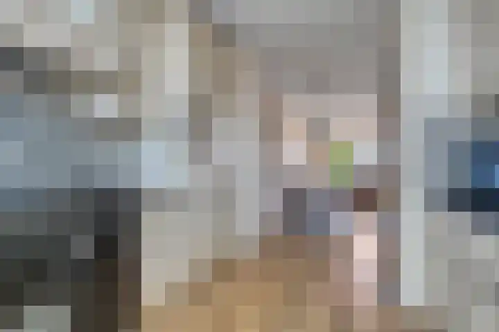 Javalaan 3 Zoetermeer thumbnail 4