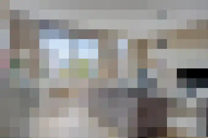 Javalaan 3 Zoetermeer thumbnail 7