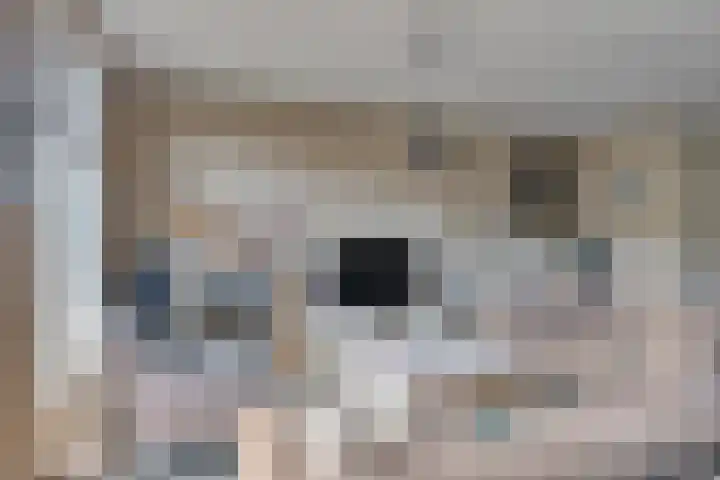 Javalaan 3 Zoetermeer thumbnail 8