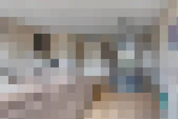 Javalaan 3 Zoetermeer thumbnail 9