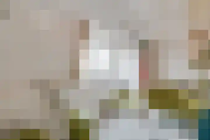 Javalaan 40 Baarn thumbnail 21