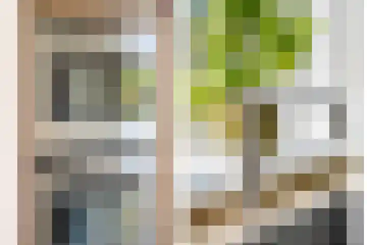 Javalaan 444 Zoetermeer thumbnail 14