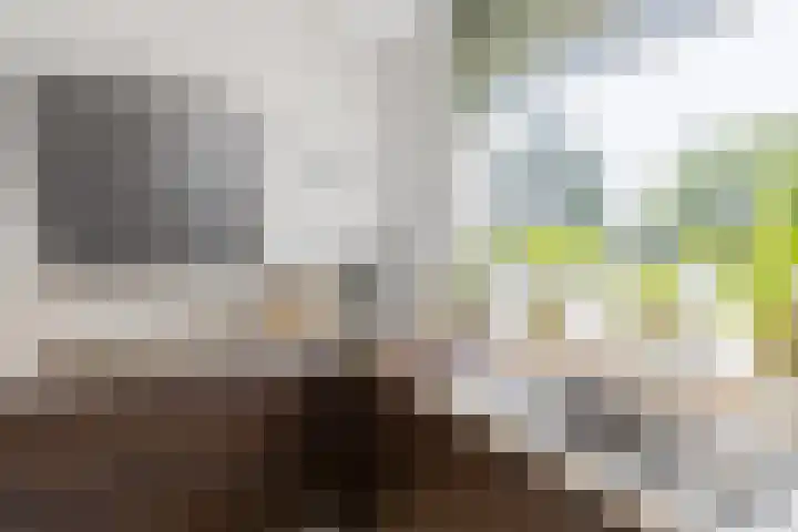 Javalaan 444 Zoetermeer thumbnail 15