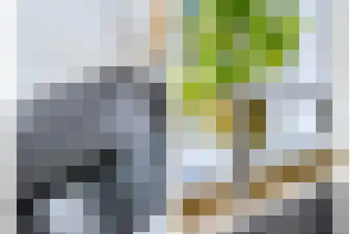 Javalaan 444 Zoetermeer thumbnail 16