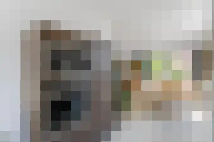 Javalaan 444 Zoetermeer thumbnail 18