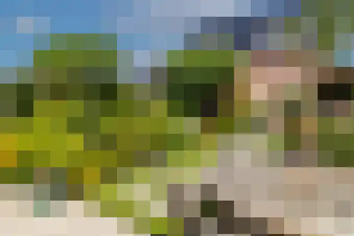 Javalaan 444 Zoetermeer thumbnail 20