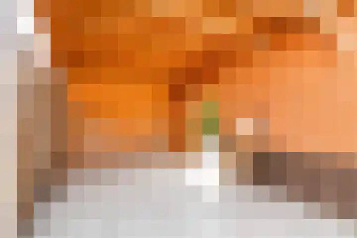 Javalaan 444 Zoetermeer thumbnail 23