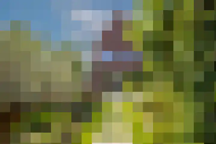 Javalaan 444 Zoetermeer thumbnail 25