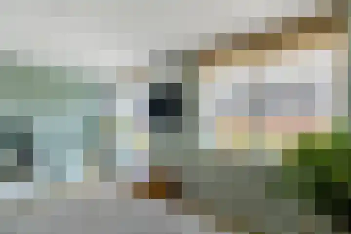 Javalaan 444 Zoetermeer thumbnail 32