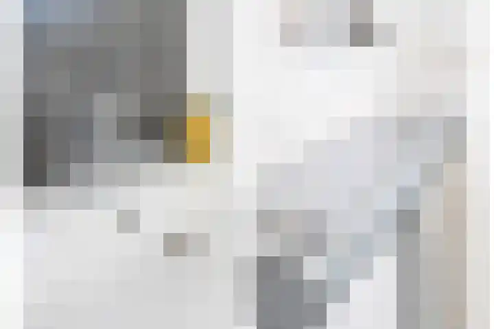 Javalaan 444 Zoetermeer thumbnail 37