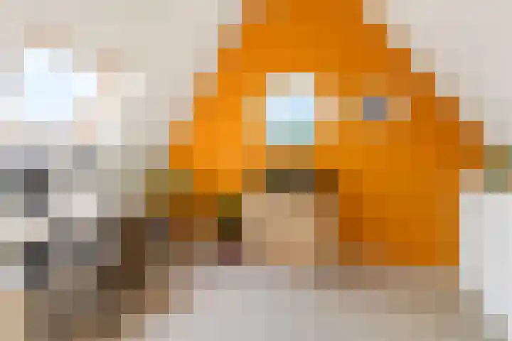 Javalaan 444 Zoetermeer thumbnail 42