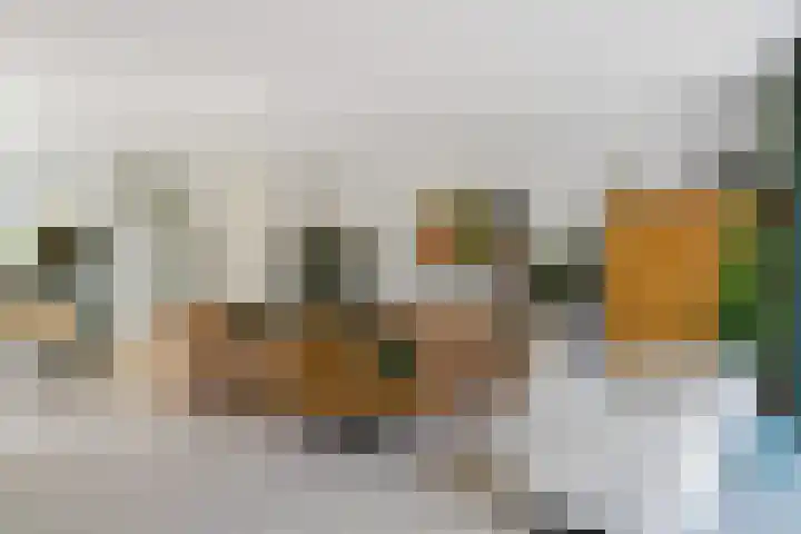 Javalaan 444 Zoetermeer thumbnail 5