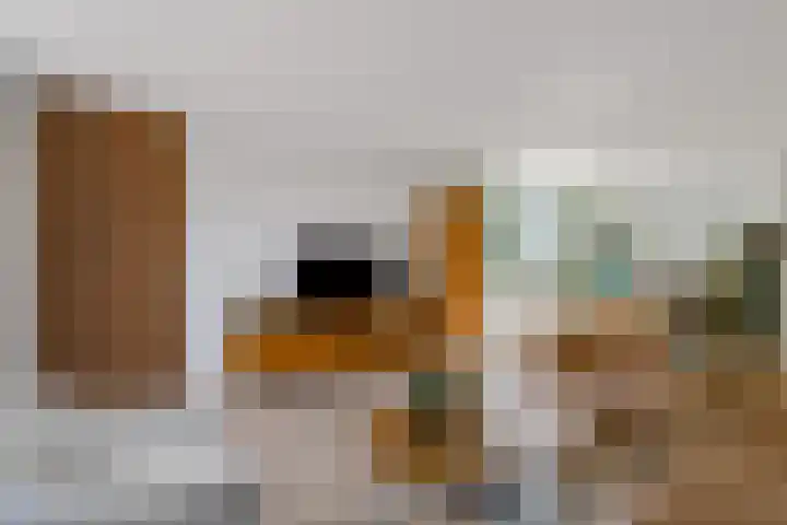 Javalaan 444 Zoetermeer thumbnail 7
