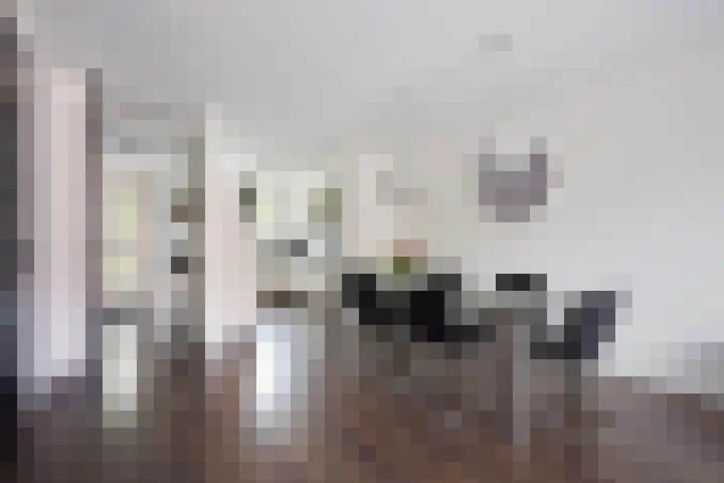 Javalaan 488 Zoetermeer thumbnail 14