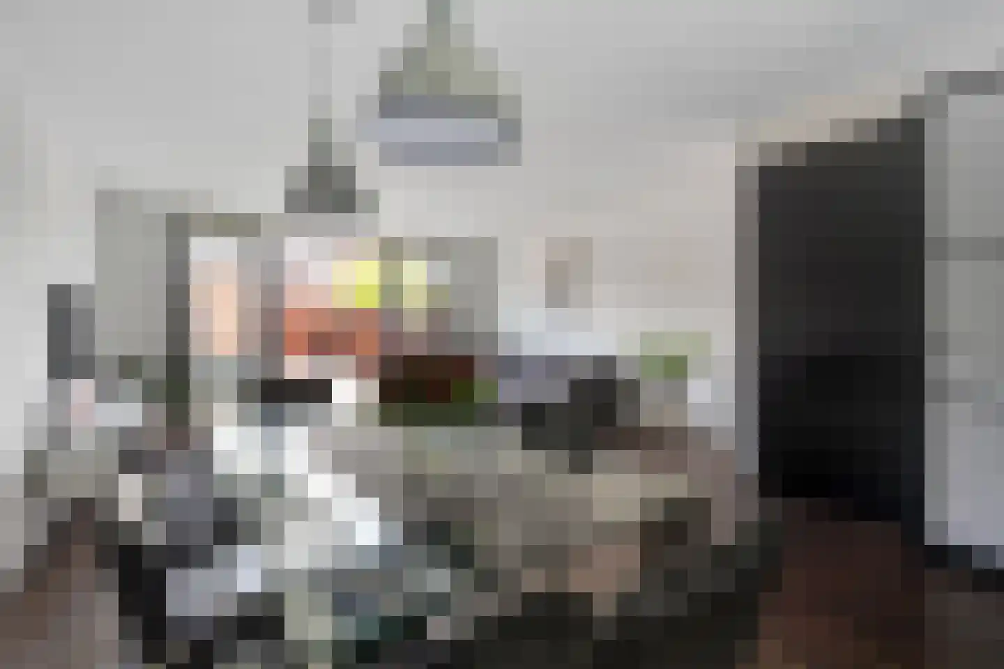 Javalaan 488 Zoetermeer thumbnail 17
