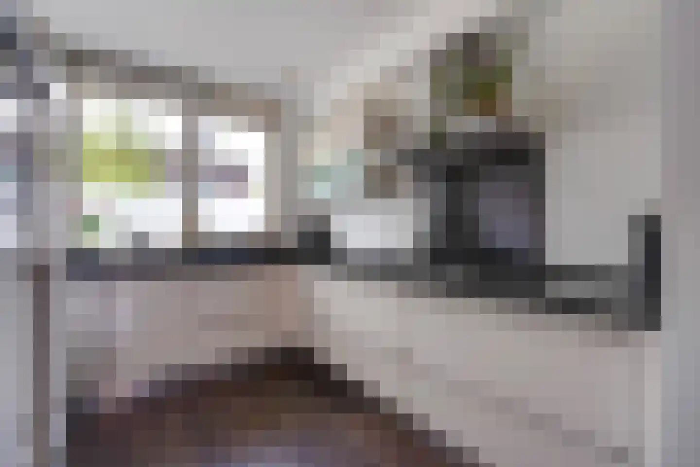 Javalaan 488 Zoetermeer thumbnail 19