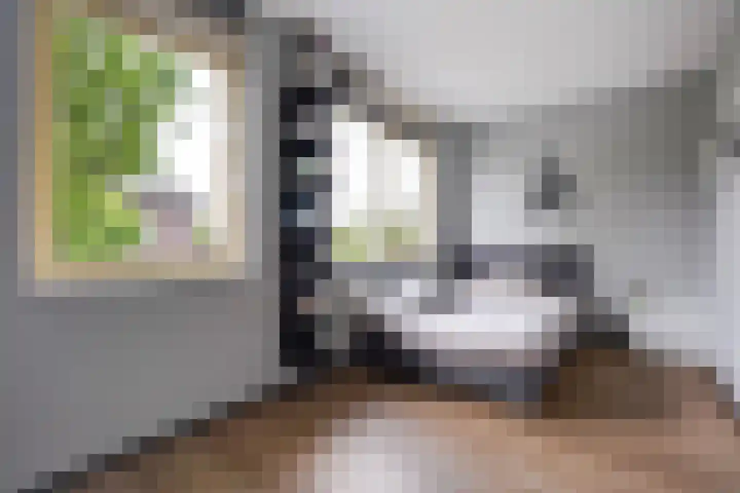 Javalaan 488 Zoetermeer thumbnail 28