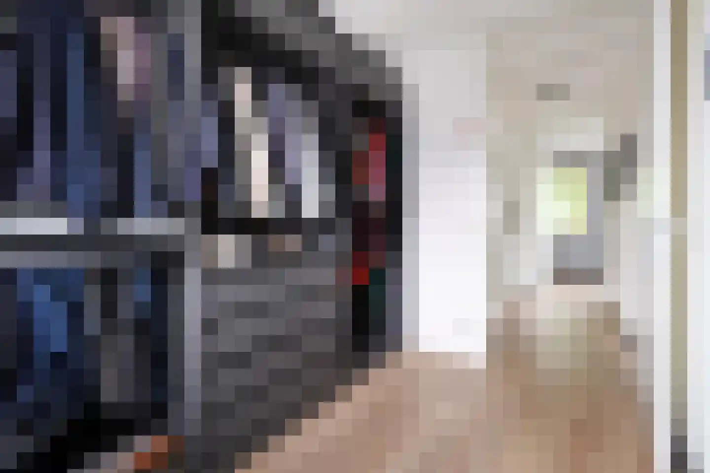 Javalaan 488 Zoetermeer thumbnail 34