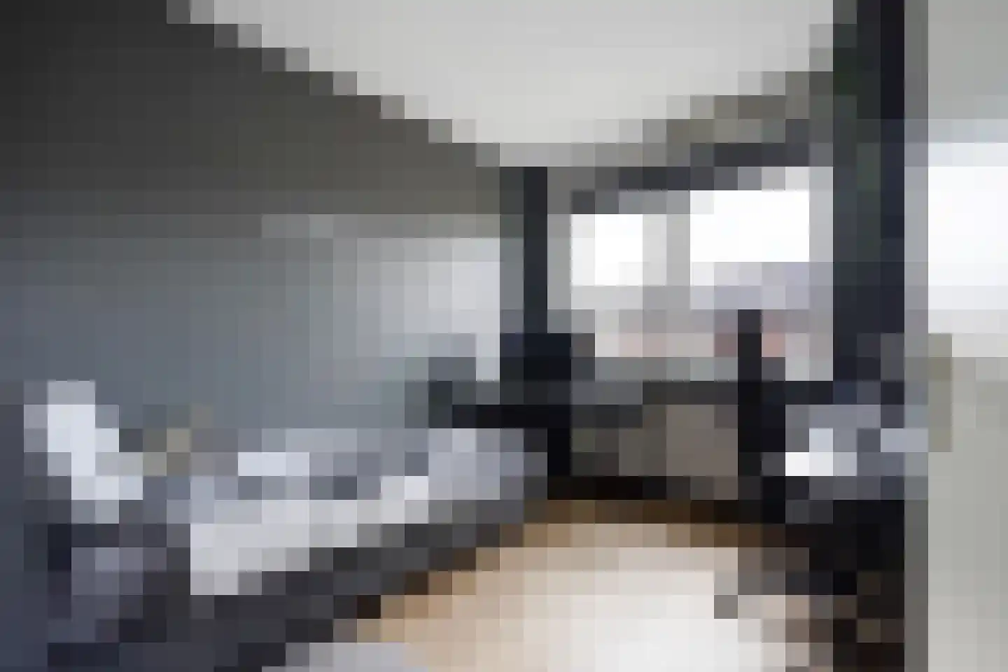 Javalaan 488 Zoetermeer thumbnail 35