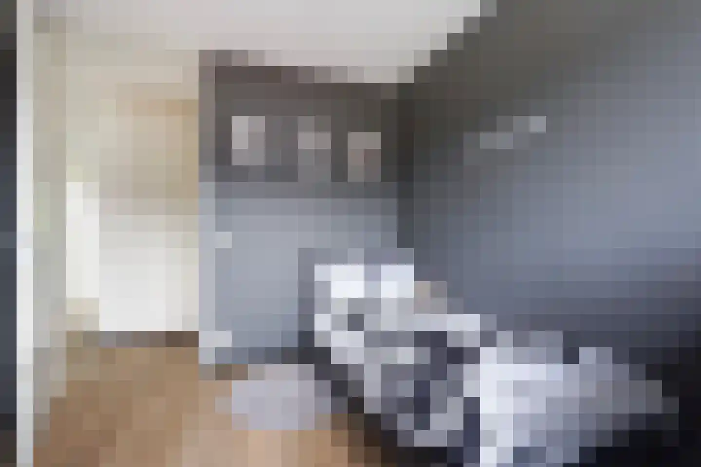 Javalaan 488 Zoetermeer thumbnail 36