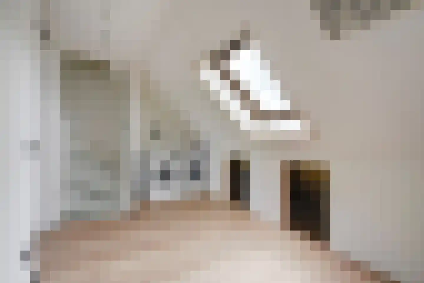 Javalaan 488 Zoetermeer thumbnail 37
