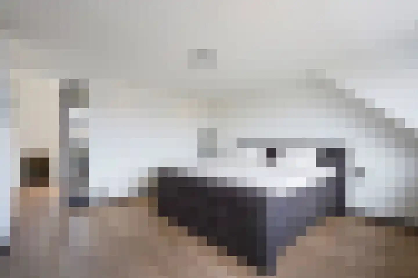 Javalaan 488 Zoetermeer thumbnail 39