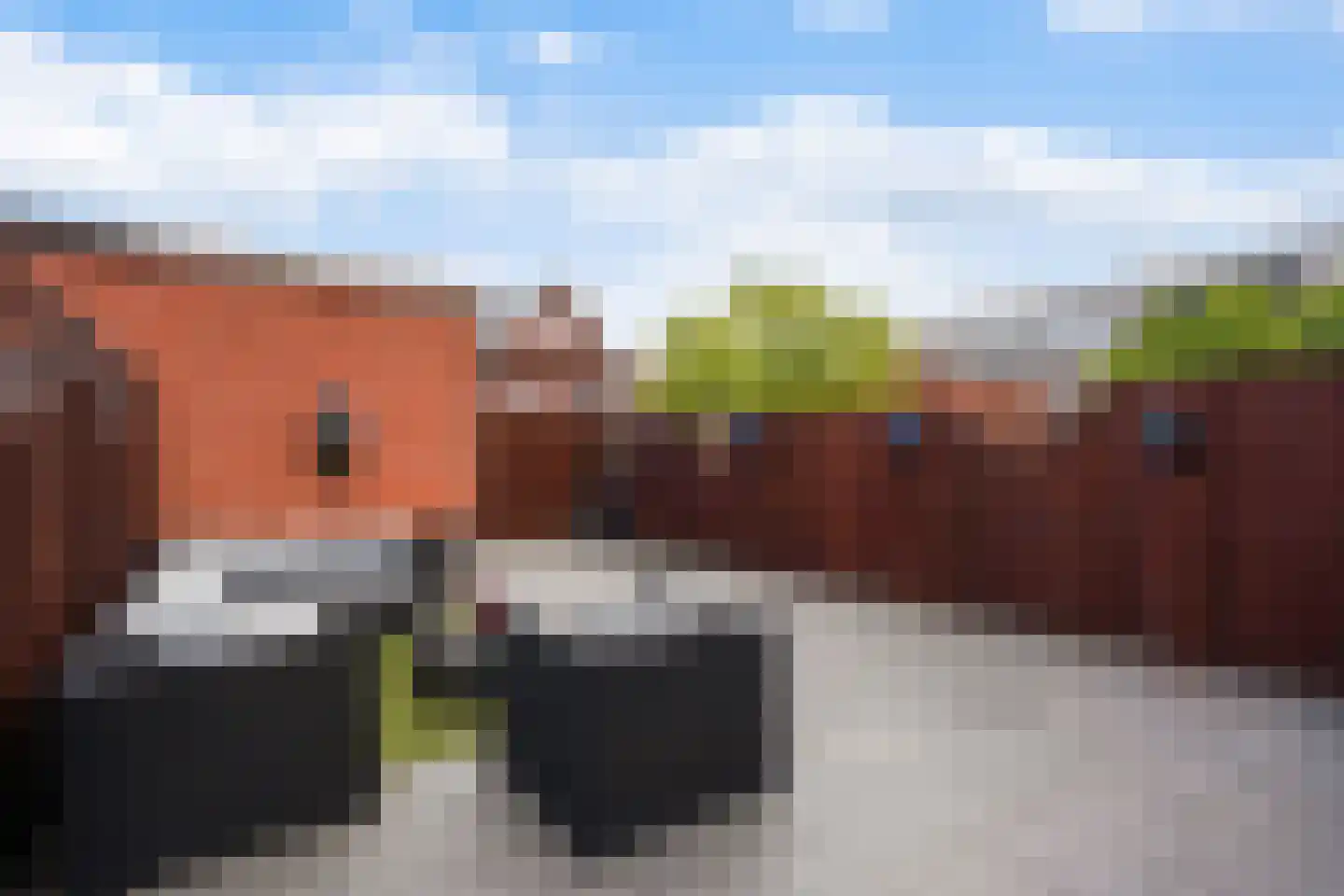 Javalaan 488 Zoetermeer thumbnail 5