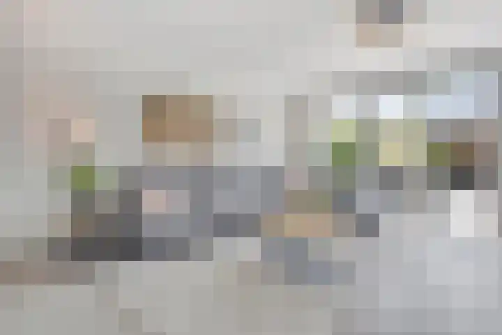 Javalaan 55 Zoetermeer thumbnail 10