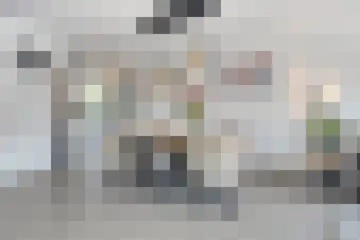 Javalaan 55 Zoetermeer thumbnail 14