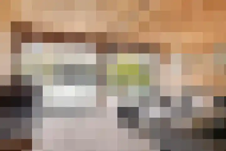 Javalaan 55 Zoetermeer thumbnail 23