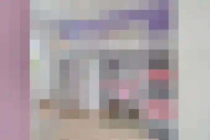Javalaan 55 Zoetermeer thumbnail 31
