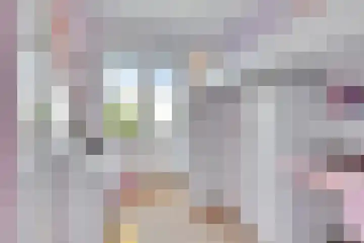Javalaan 55 Zoetermeer thumbnail 32