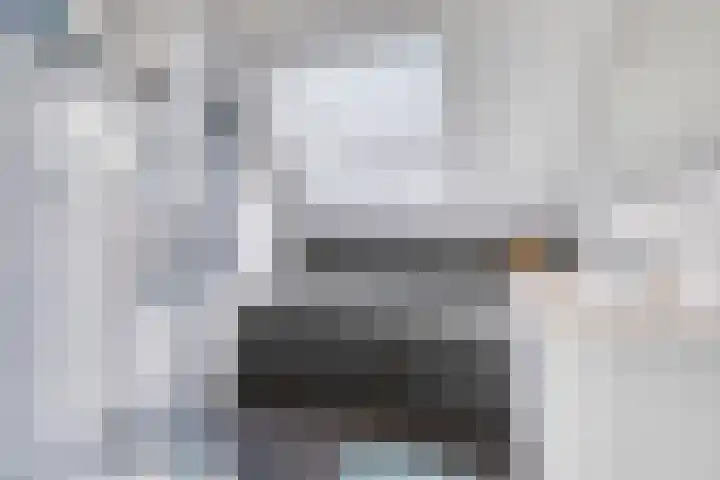 Javalaan 55 Zoetermeer thumbnail 38