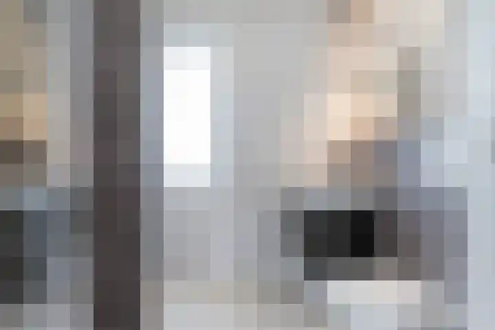 Javalaan 55 Zoetermeer thumbnail 4