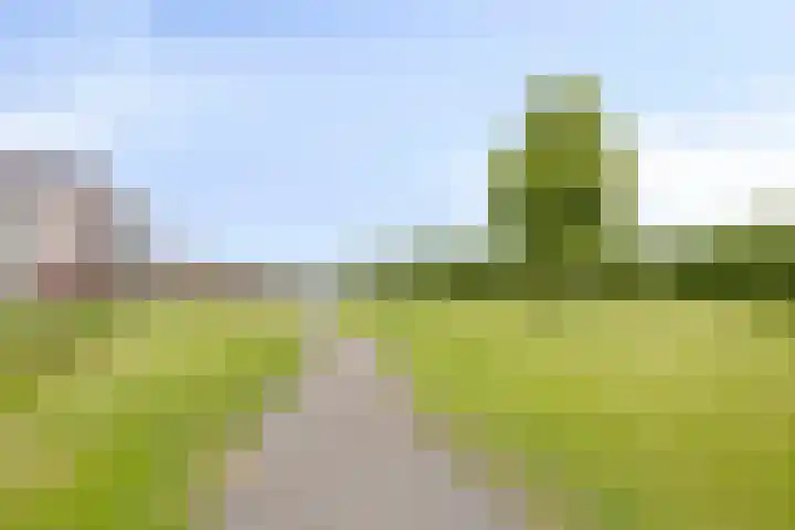Javalaan 55 Zoetermeer thumbnail 43