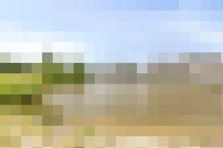 Javalaan 55 Zoetermeer thumbnail 44