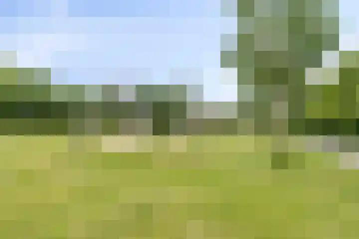 Javalaan 55 Zoetermeer thumbnail 45