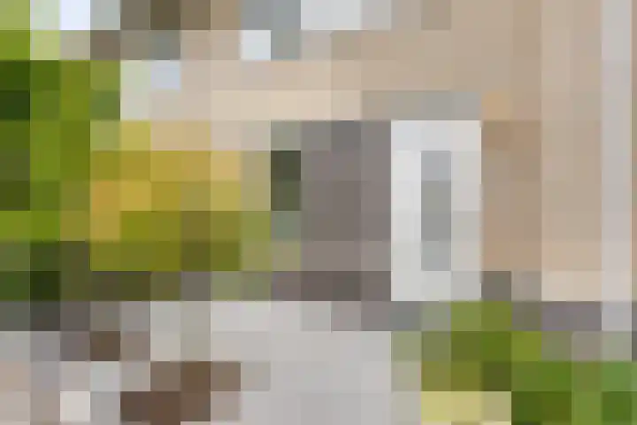 Javalaan 55 Zoetermeer thumbnail 7