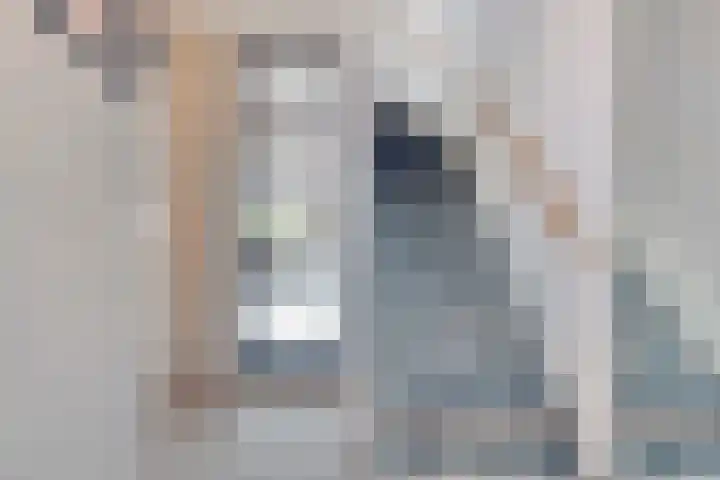 Javalaan 55 Zoetermeer thumbnail 8