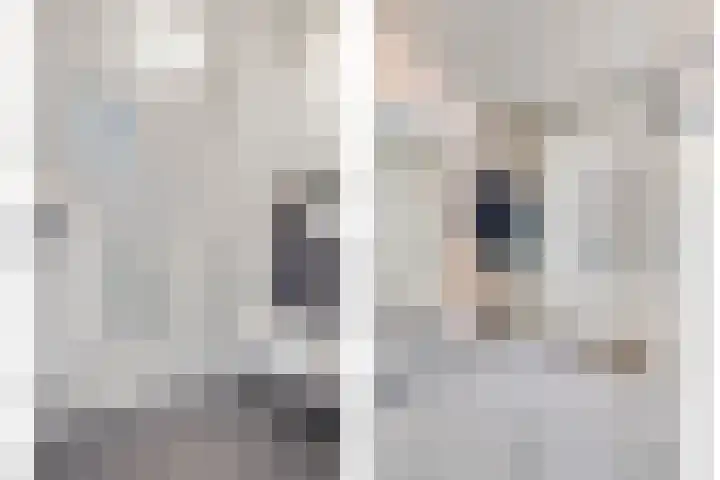 Javalaan 55 Zoetermeer thumbnail 9