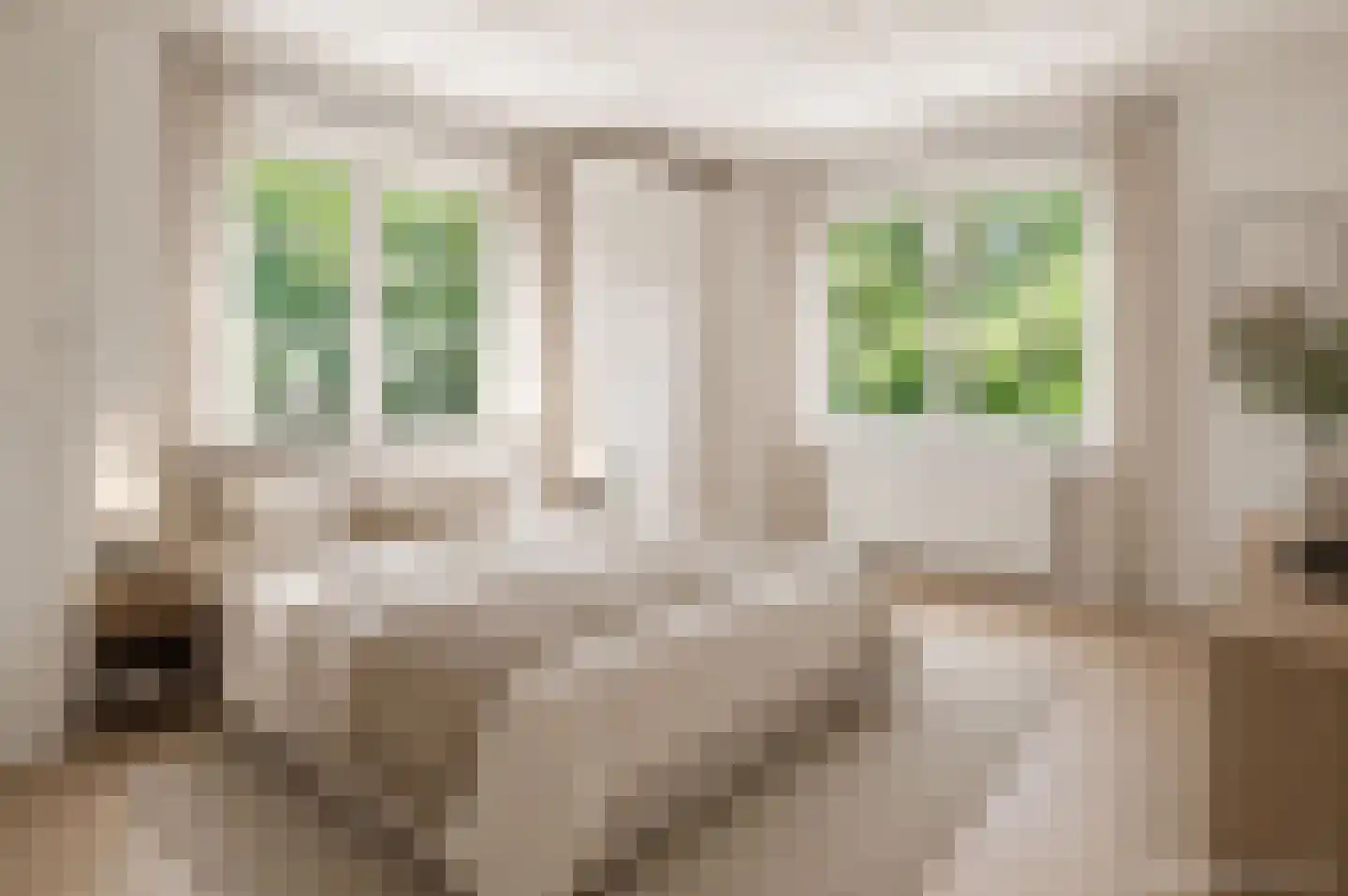 Javalaan 6 Baarn thumbnail 29