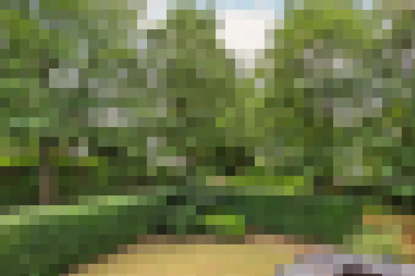 Javalaan 6 Baarn thumbnail 38