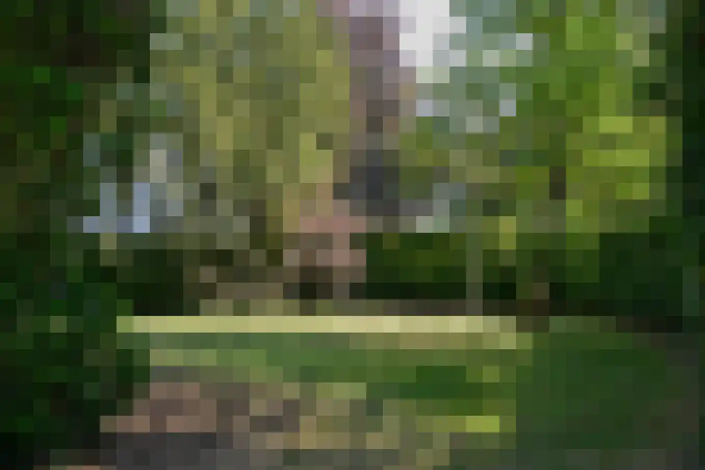 Javalaan 6 Baarn thumbnail 40