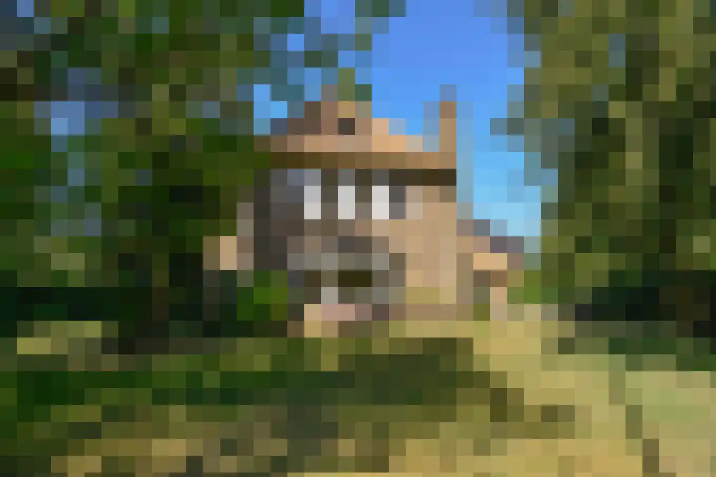 Javalaan 6 Baarn thumbnail 42