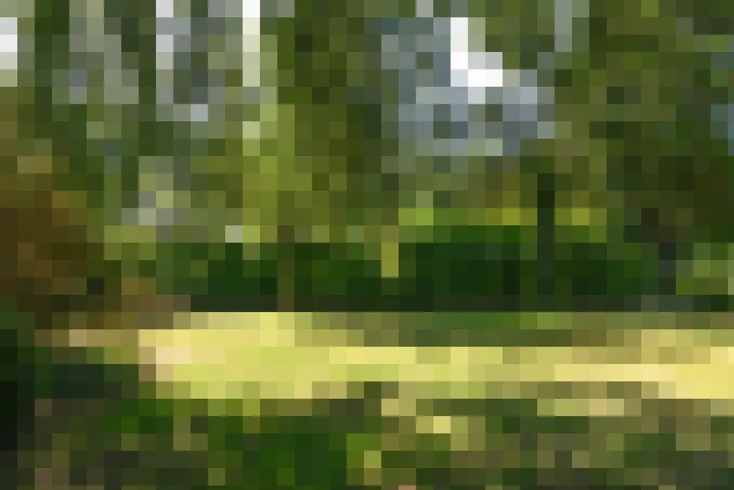Javalaan 6 Baarn thumbnail 43