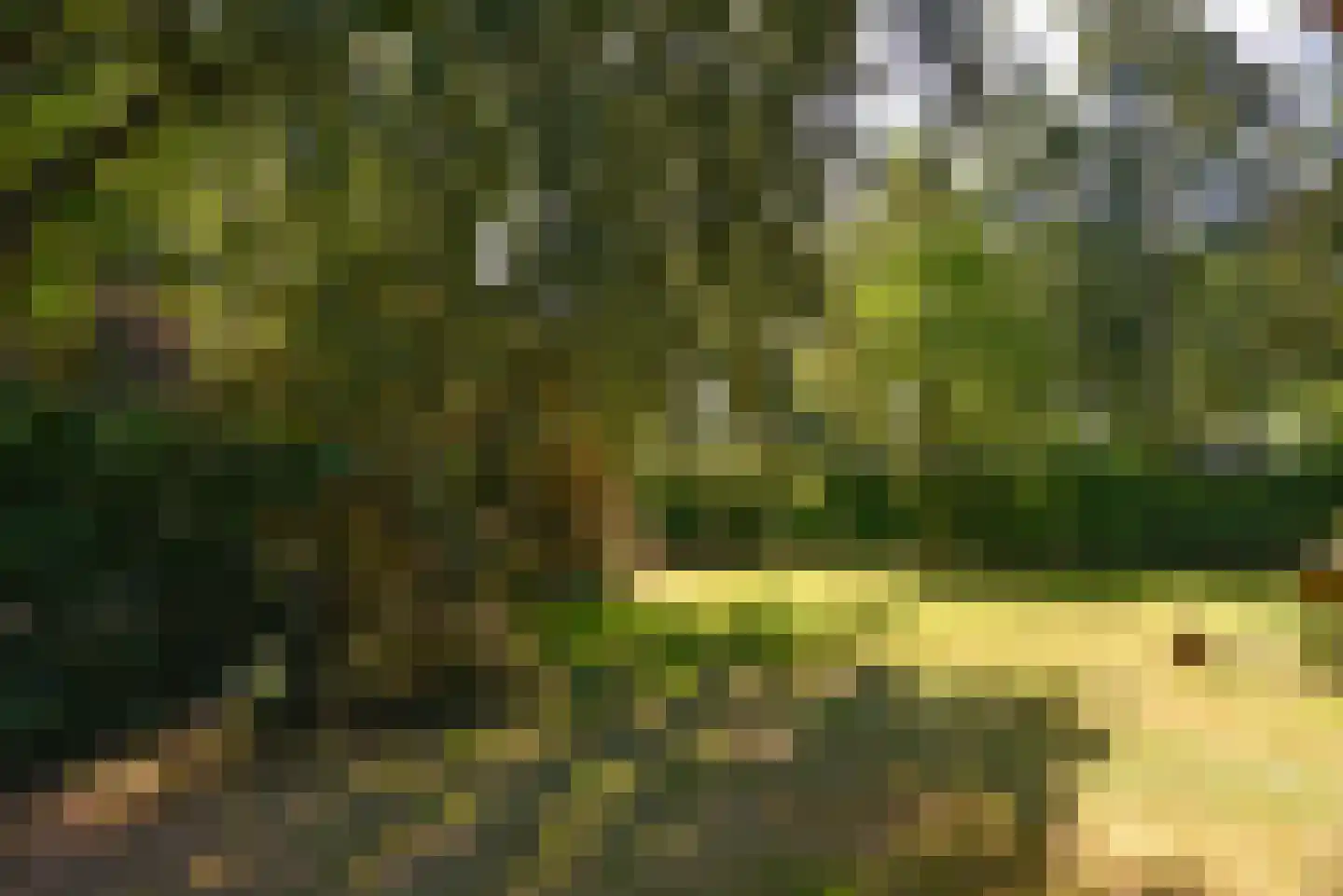 Javalaan 6 Baarn thumbnail 44