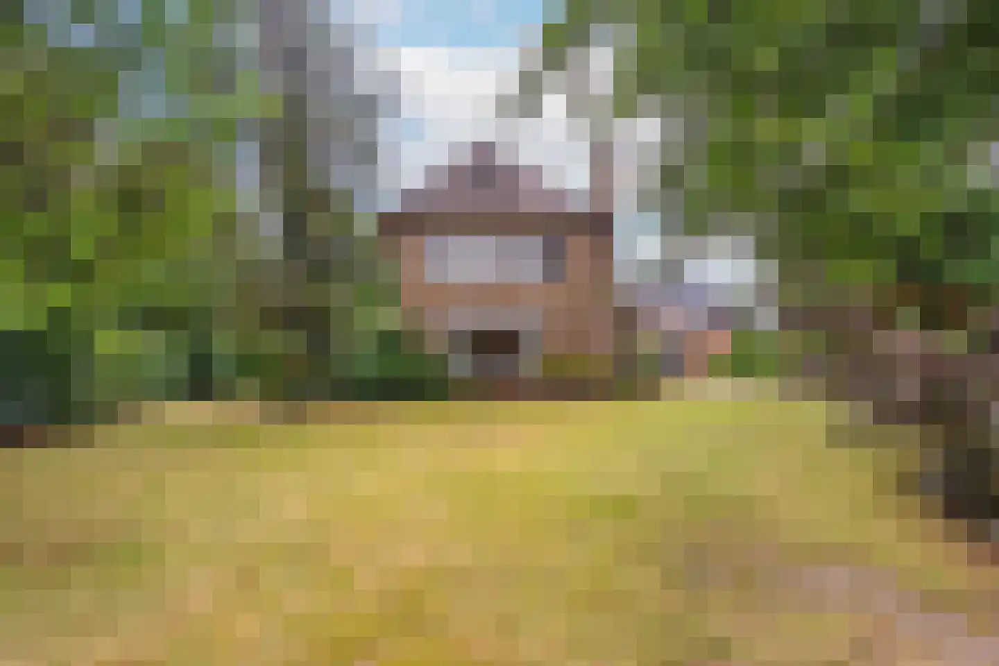 Javalaan 6 Baarn thumbnail 56